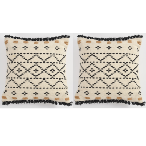 Rex Handwoven cushion cover ( Pack of 2 )