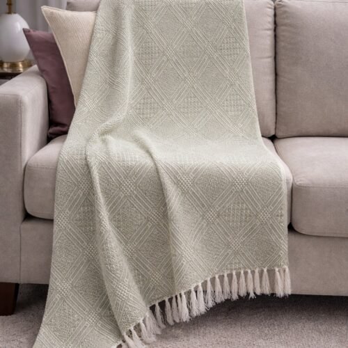 Recycle Throw-19